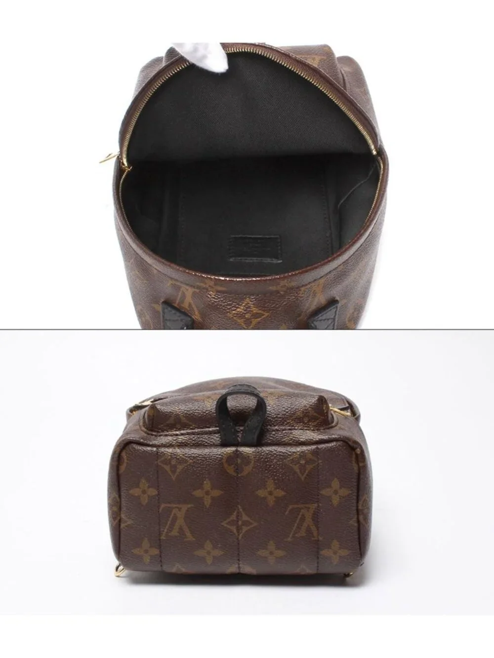 Louis Vuitton Backpack Palm Springs Mini Monogram